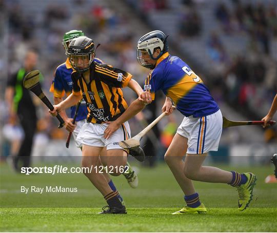 INTO Cumann na mBunscol GAA Respect Exhibition Go Games at Kilkenny v Tipperary - GAA Hurling All-Ireland Senior Championship Final INTO Cumann na mBunscol GAA Respect Exhibition Go Games at Kilkenny v Tipperary - GAA Hurling All-Ireland Senior Championship Final