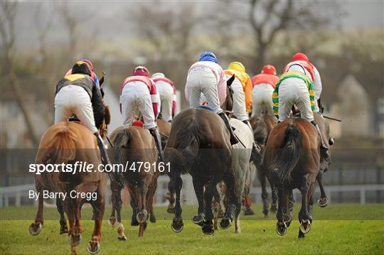 Leopardstown Christmas Racing Festival 2010 - Tuesday 28th December