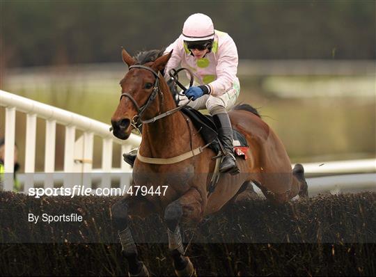 Horse Racing from Punchestown - Friday 31st December