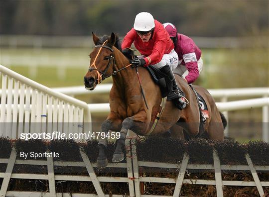 Horse Racing from Punchestown - Friday 31st December