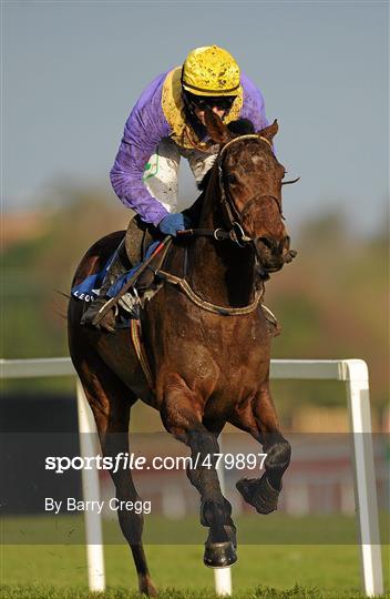 Leopardstown Christmas Racing Festival 2010 - Tuesday 28th December
