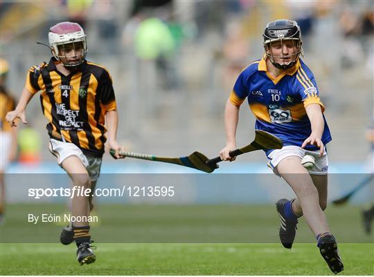 INTO Cumann na mBunscol GAA Respect Exhibition Go Games at Kilkenny v Tipperary - GAA Hurling All-Ireland Senior Championship Final