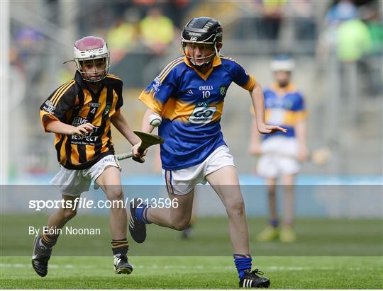 INTO Cumann na mBunscol GAA Respect Exhibition Go Games at Kilkenny v Tipperary - GAA Hurling All-Ireland Senior Championship Final