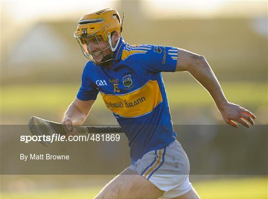 Tipperary v Waterford IT - Waterford Crystal Cup
