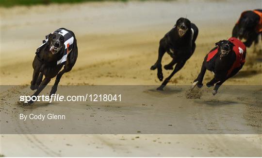 Boylesports Irish Greyhound Derby