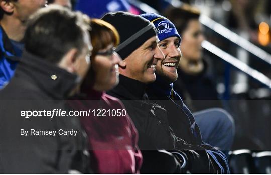 Supporters at Leinster v Ospreys - Guinness PRO12 Round 4