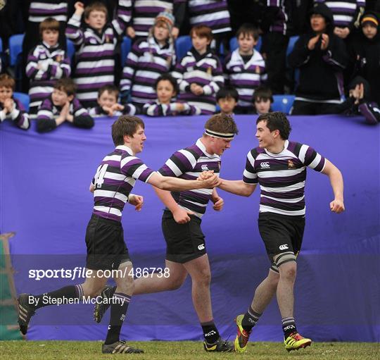 Terenure College v Gonzaga College SJ - Powerade Leinster Schools Rugby Senior Cup First Round