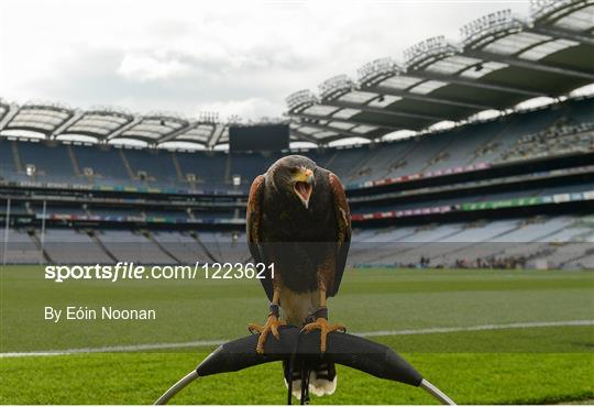 Dublin v Mayo - GAA Football All-Ireland Senior Championship Final Replay Dublin v Mayo - GAA Football All-Ireland Senior Championship Final Replay