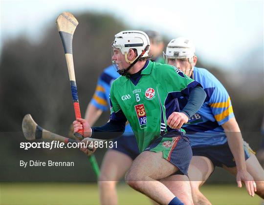 UCD v Limerick IT - Ulster Bank Fitzgibbon Cup Group 2