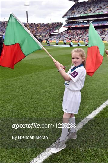 AIB Flagbearers at Dublin v Mayo - GAA Football All-Ireland Senior Championship Final Replay