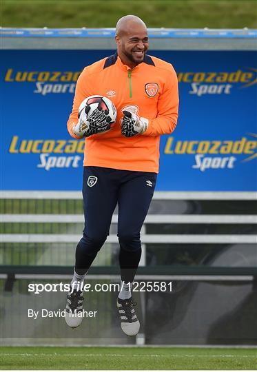 Republic of Ireland Squad Training and Press Conference Republic of Ireland Squad Training and Press Conference