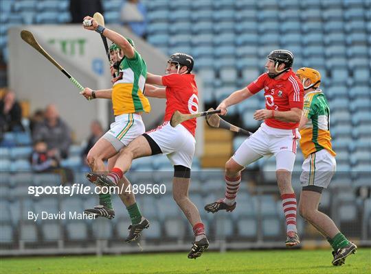 Cork v Offaly - Allianz Hurling League Division 1 Round 1