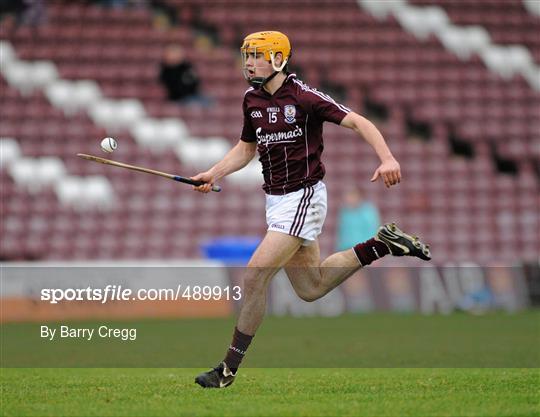 Galway v Wexford - Allianz Hurling League Division 1 Round 1