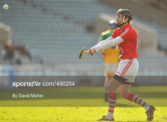 Cork v Offaly - Allianz Hurling League Division 1 Round 1
