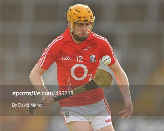 Cork v Offaly - Allianz Hurling League Division 1 Round 1