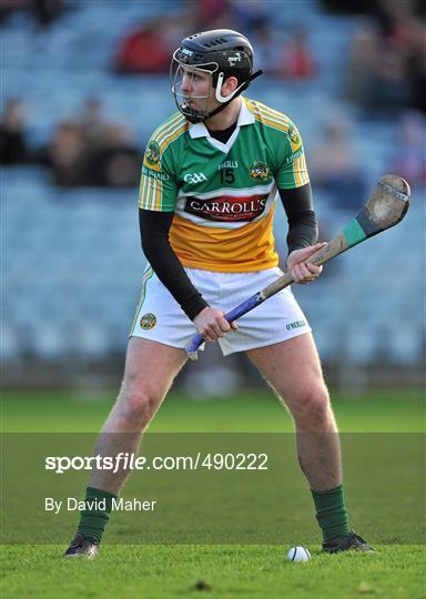 Cork v Offaly - Allianz Hurling League Division 1 Round 1 Cork v Offaly - Allianz Hurling League Division 1 Round 1