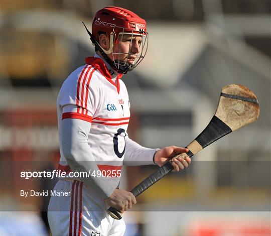 Cork v Offaly - Allianz Hurling League Division 1 Round 1