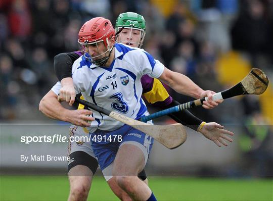 Wexford v Waterford - Allianz Hurling League Division 1 Round 2