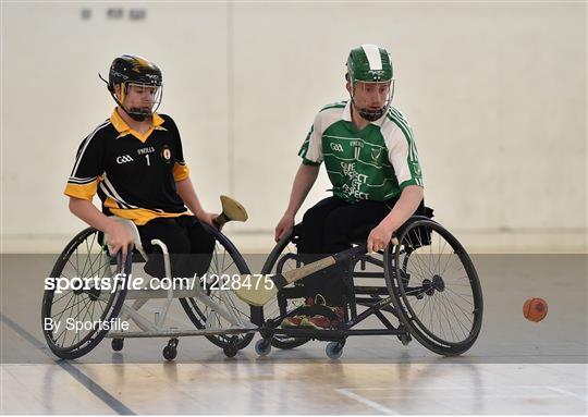 M. Donnelly GAA Wheelchair Hurling Interprovincial All-Ireland Finals