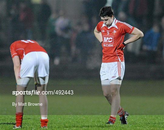 Wexford v Louth - Cadbury Leinster Under 21 Football Quarter-Final