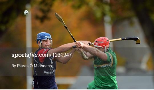Ireland v Scotland - 2016 Senior Hurling/Shinty International Series Ireland v Scotland - 2016 Senior Hurling/Shinty International Series