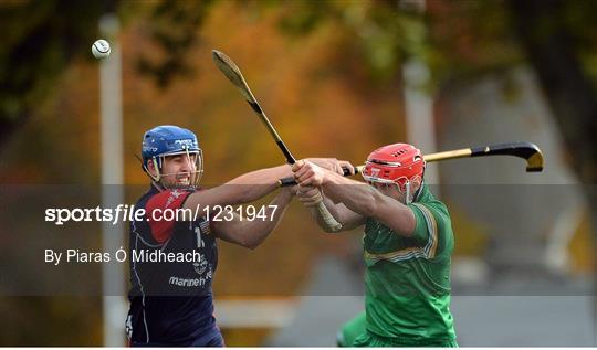 Ireland v Scotland - 2016 Senior Hurling/Shinty International Series