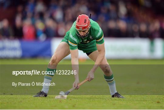 Ireland v Scotland - 2016 Senior Hurling/Shinty International Series