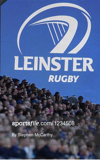 Fans at Leinster v Connacht - Guinness PRO12 Round 7