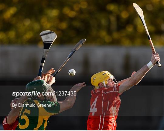 Kilmoyley v Monaleen - AIB Munster Intermediate Club Hurling Championship Semi-Final