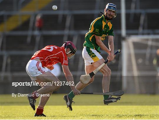 Kilmoyley v Monaleen - AIB Munster Intermediate Club Hurling Championship Semi-Final