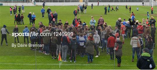 Palatine v St. Vincents - AIB Leinster GAA Football Senior Club Championship quarter-final