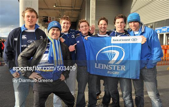 Leinster Supporters - Munster v Leinster - Celtic League
