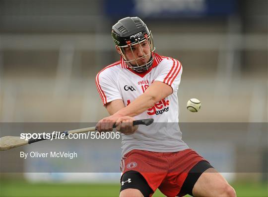 South Down v Tyrone - Allianz GAA Hurling Division 4 Final