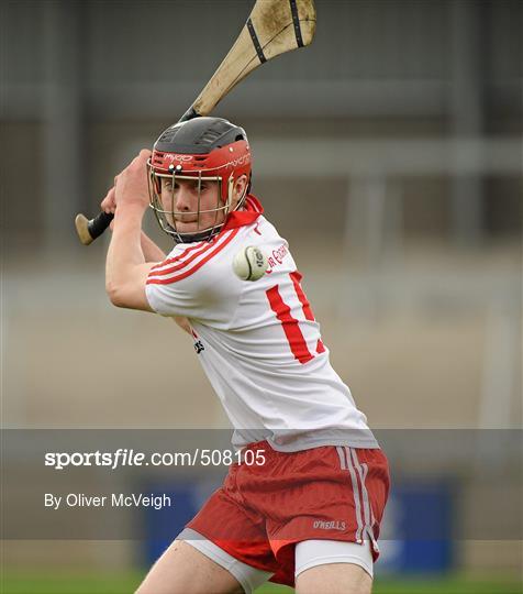 South Down v Tyrone - Allianz GAA Hurling Division 4 Final