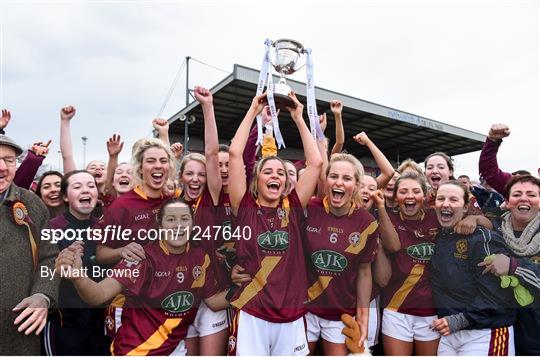 Kinsale v St. Maurs - All Ireland Junior Club Championship Final 2016