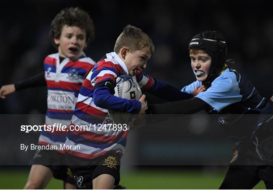 Bank of Ireland Minis at Leinster v Newport Gwent Dragons - Guinness PRO12 Round 10