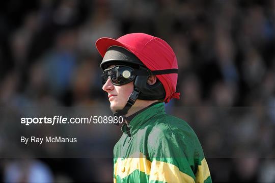 Fairyhouse Easter Festival - Monday 25th April 2011