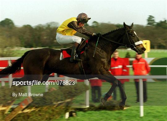 Leopardstown Christmas Festival 2001 - Day Three