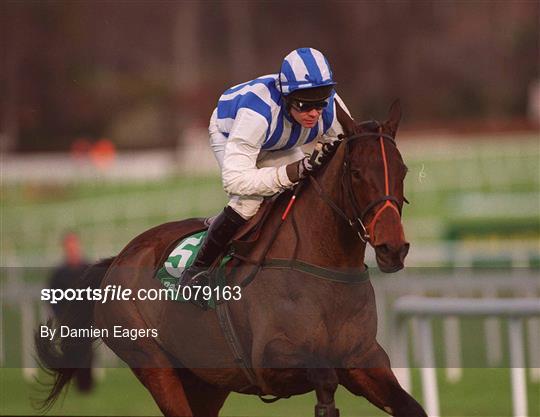 Leopardstown Christmas Festival 2001 - Day Two