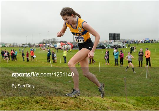 Irish Life Health Novice & Juvenile Uneven Age National Cross Country Championships