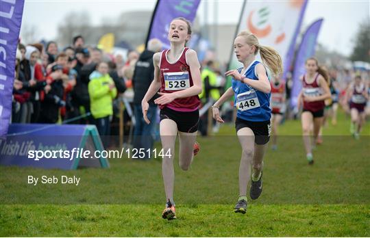 Irish Life Health Novice & Juvenile Uneven Age National Cross Country Championships