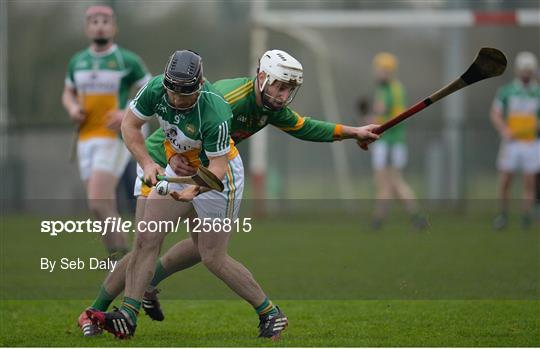 Meath v Offaly - Bord na Mona Walsh Cup Group 4 Round 1