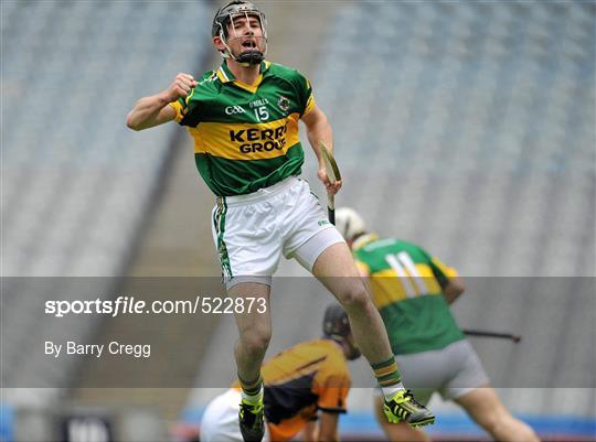 Kerry v Wicklow - Christy Ring Cup Final