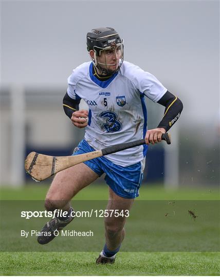 Waterford v Limerick - Co-Op Superstores Munster Senior Hurling League First Round