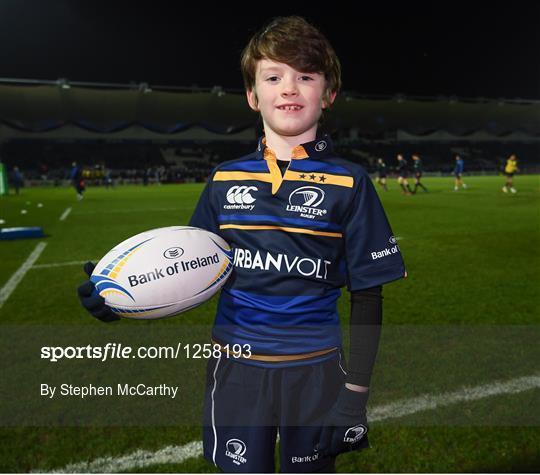 Mascots at Leinster v Montpellier - European Rugby Champions Cup Pool 4 Round 5