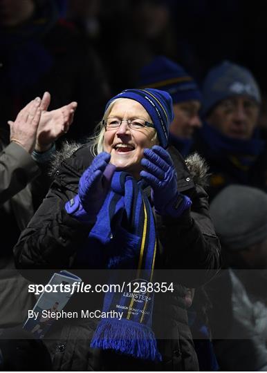 Fans at Leinster v Montpellier - European Rugby Champions Cup Pool 4 Round 5