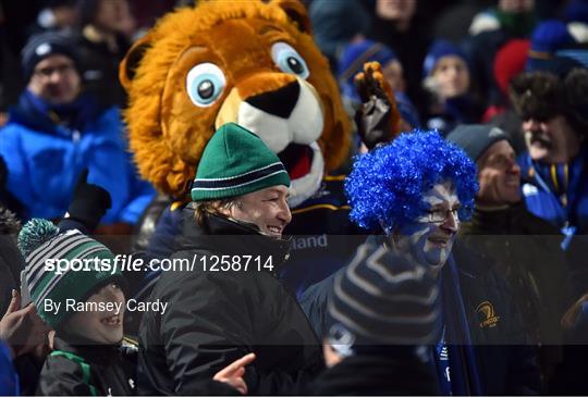 Fans at Leinster v Montpellier - European Rugby Champions Cup Pool 4 Round 5
