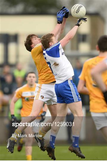 Antrim v Monaghan - Bank of Ireland Dr. McKenna Cup Section B Round 2