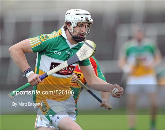 Carlow v Offaly - Walsh Cup Shield Final