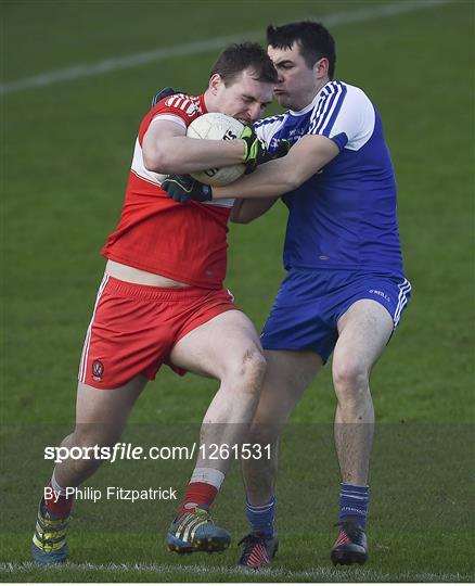Monaghan v Derry - Bank of Ireland Dr. McKenna Cup semi-final